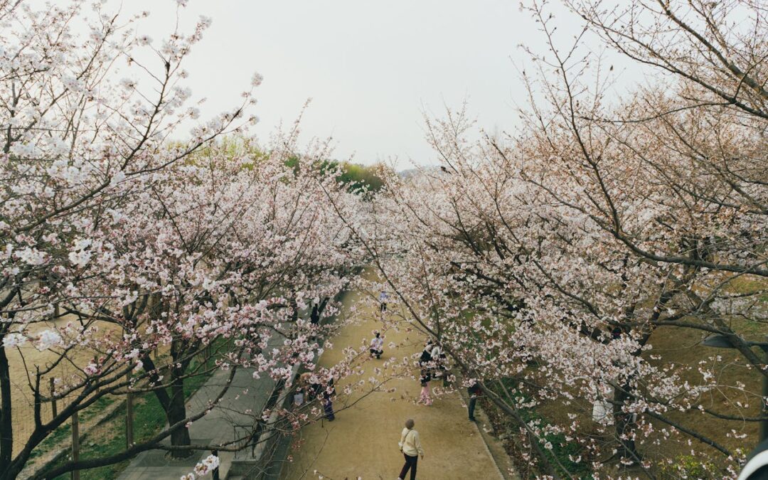 Destinations Kosher Cruises You’ll Love This Season