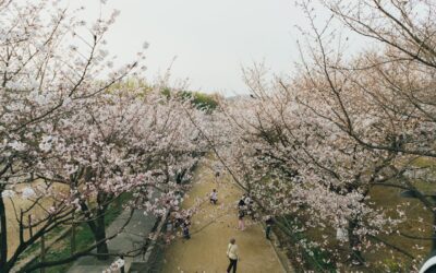 Destinations Kosher Cruises You’ll Love This Season