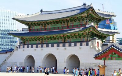 See More With Ease: A Friendly Guide To Kosher Touring