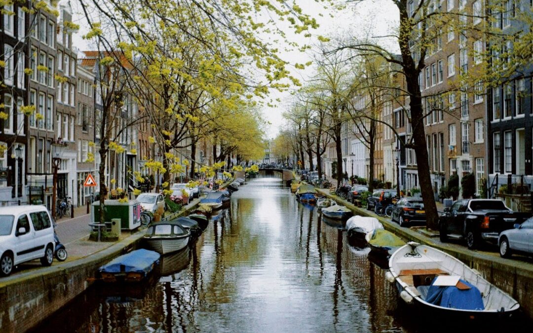 Why The Best Kosher Cruises From Amsterdam Feel Like Art